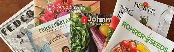 Seed catalogs…a good rainy day read