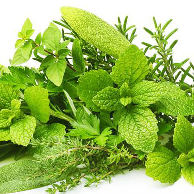 Rosemary Mint Products