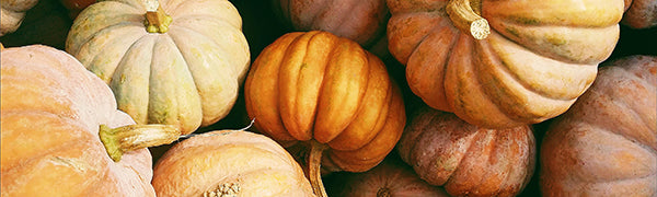 Ready for Fall