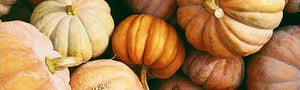 Ready for Fall