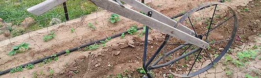 Cultivating - Fredericksburg Farms