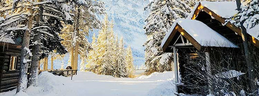 December 7 Past and Present - Fredericksburg Farms