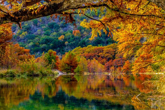 Fall or Just More Summer - Fredericksburg Farms