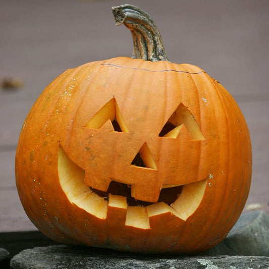 Halloween - Fredericksburg Farms