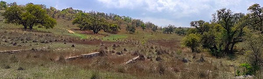 Has Spring Finally Sprung? - Fredericksburg Farms