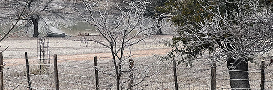 It's Cold Outside! - Fredericksburg Farms
