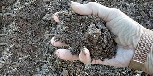 January Letdown? - Fredericksburg Farms