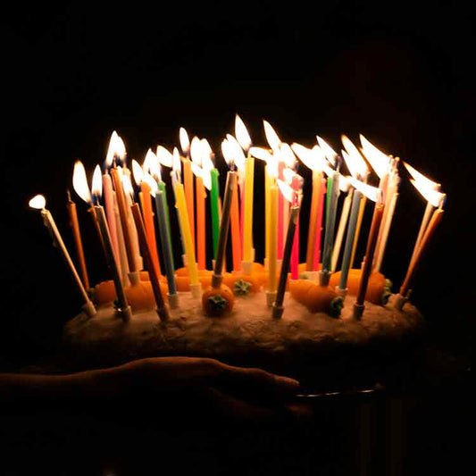 Let’s celebrate our Webmaster! - Fredericksburg Farms