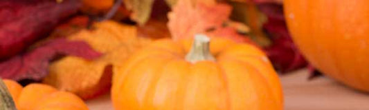 Pumpkins - Fredericksburg Farms