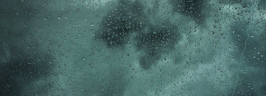 Rain! - Fredericksburg Farms