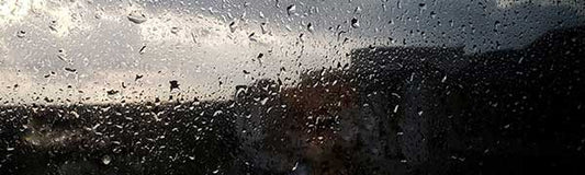 Rainy Days…Good or Bad? - Fredericksburg Farms