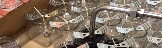 Shoutout to our Summer Workers - Fredericksburg Farms