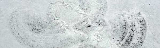 Snow Day - Fredericksburg Farms