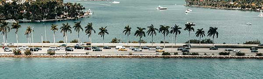 Spring Break - Fredericksburg Farms