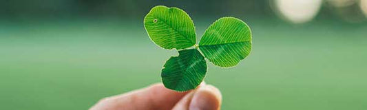 St Patrick's Day - Fredericksburg Farms