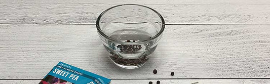 Sweet Peas Bring Back Memories - Fredericksburg Farms