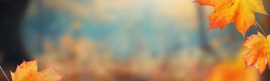 We Love Fall! - Fredericksburg Farms