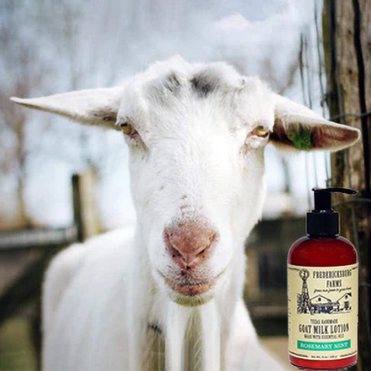 Goat Milk Lotions