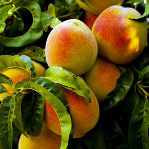 Fredericksburg Farms Peach Products
