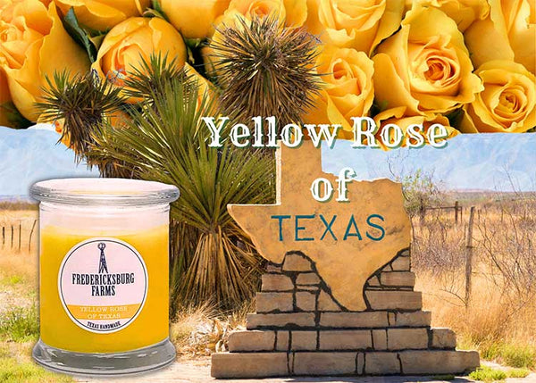 Yellow Rose of Texas Candle (9 oz.)